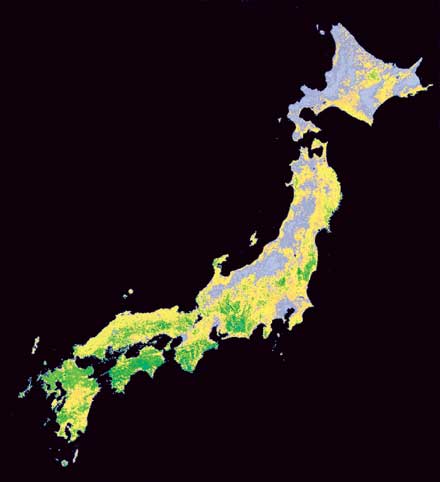Vegetation index image of Japan
 by NOAA/AVHRR data
